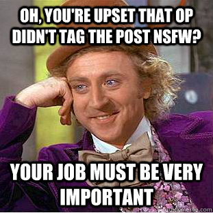 Oh, you're upset that OP didn't tag the post nsfw? your job must be very important  Condescending Wonka