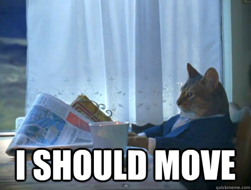  I should move  The One Percent Cat
