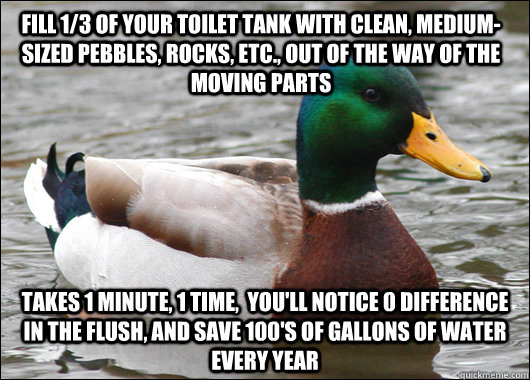 FIll 1/3 of your toilet tank with clean, medium-sized pebbles, rocks, etc., out of the way of the moving parts Takes 1 minute, 1 time,  you'll notice 0 difference in the flush, and save 100's of gallons of water every year  Actual Advice Mallard