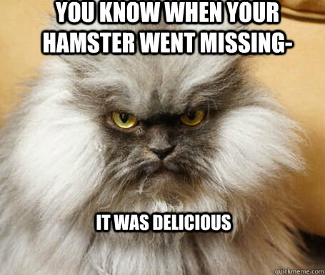 You know when your hamster went missing- it was delicious - You know when your hamster went missing- it was delicious  Sinister Cat