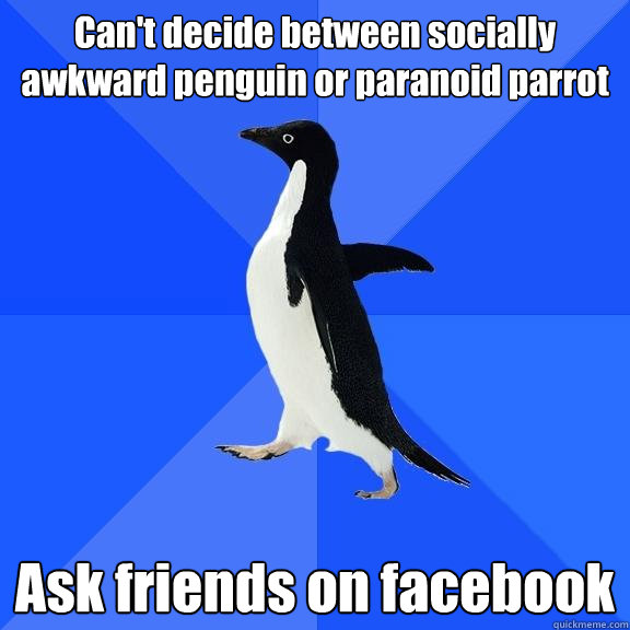 Can't decide between socially awkward penguin or paranoid parrot Ask friends on facebook  Socially Awkward Penguin