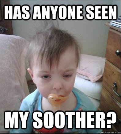 has anyone seen my soother?  Party Toddler