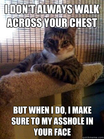 I don't always walk across your chest but when I do, I make sure to my asshole in your face  The Most Interesting Cat in the World