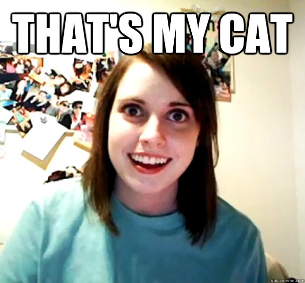 That's my cat   Overly Attached Girlfriend