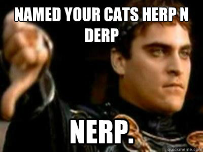 Named your cats Herp N Derp Nerp.  Downvoting Roman