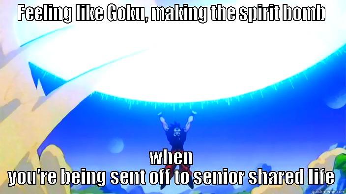 FEELING LIKE GOKU, MAKING THE SPIRIT BOMB WHEN YOU'RE BEING SENT OFF TO SENIOR SHARED LIFE Misc