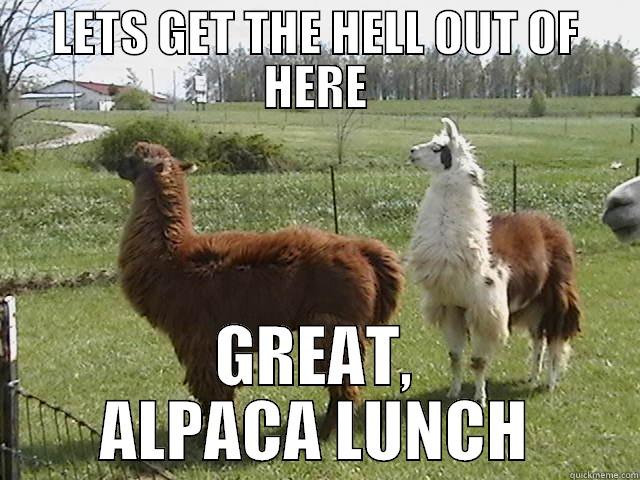 LETS GET THE HELL OUT OF HERE GREAT, ALPACA LUNCH Misc