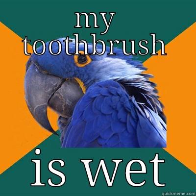 MY TOOTHBRUSH  IS WET Paranoid Parrot