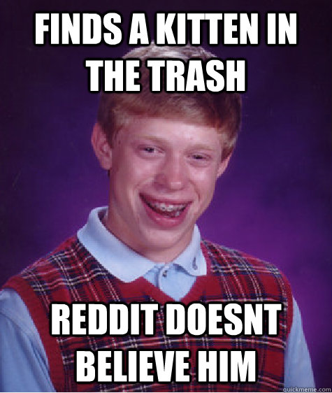 finds a kitten in the trash reddit doesnt believe him - finds a kitten in the trash reddit doesnt believe him  Bad Luck Brian