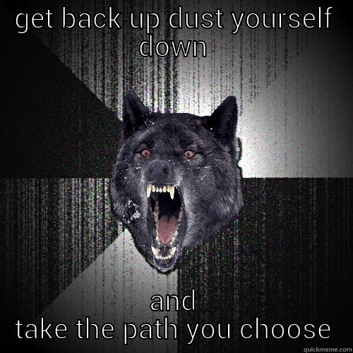 GET BACK UP DUST YOURSELF DOWN AND TAKE THE PATH YOU CHOOSE Insanity Wolf