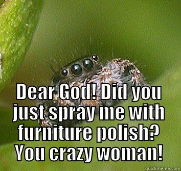 DEAR GOD! DID YOU JUST SPRAY ME WITH FURNITURE POLISH? YOU CRAZY WOMAN! Misunderstood Spider