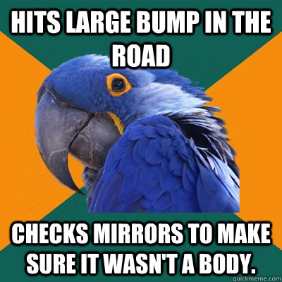 hits large bump in the road checks mirrors to make sure it wasn't a body.  Paranoid Parrot