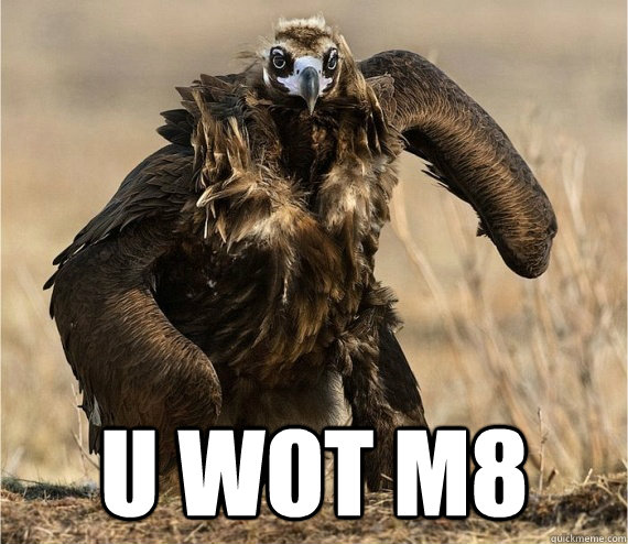  U WOT M8 -  U WOT M8  Badass Bird