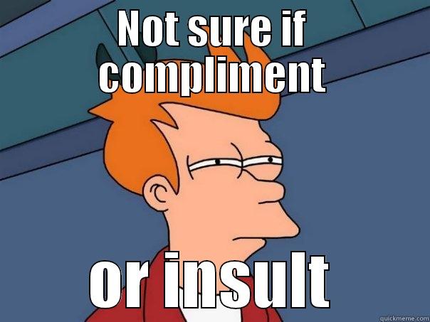 NOT SURE IF COMPLIMENT OR INSULT Futurama Fry