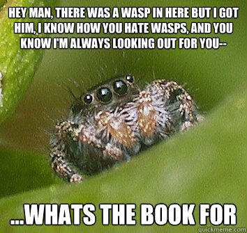 Hey man, there was a wasp in here but I got him, I know how you hate wasps, and you know I'm always looking out for you-- ...whats the book for  Misunderstood Spider