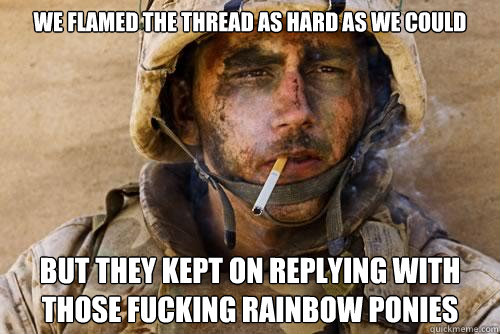 we flamed the thread as hard as we could but they kept on replying with those fucking rainbow ponies - we flamed the thread as hard as we could but they kept on replying with those fucking rainbow ponies  Ptsd