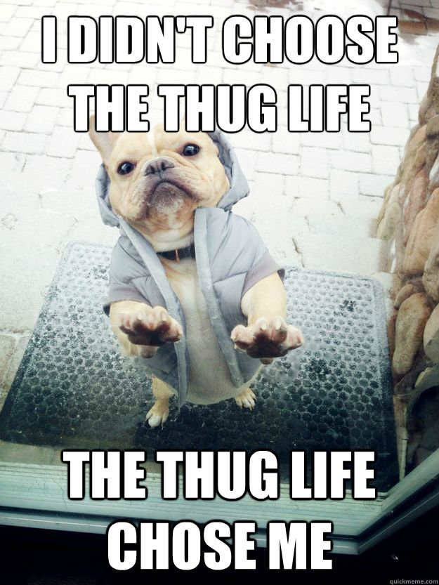 I didn't choose the Thug Life The Thug Life Chose Me  Thug Dog