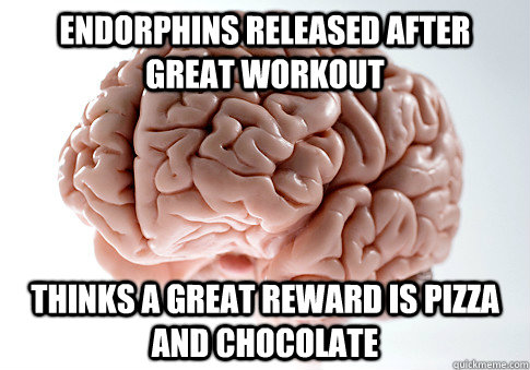 Endorphins released after great workout Thinks a great reward is pizza and chocolate - Endorphins released after great workout Thinks a great reward is pizza and chocolate  Scumbag Brain