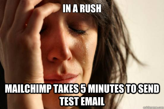 In a rush Mailchimp takes 5 minutes to send test email  First World Problems
