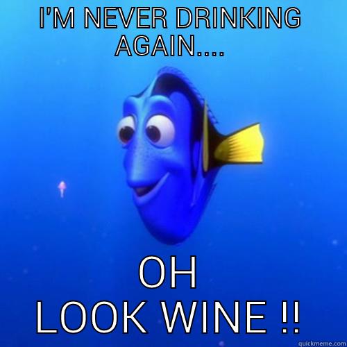 I'M NEVER DRINKING AGAIN.... - I'M NEVER DRINKING AGAIN.... OH LOOK WINE !! dory