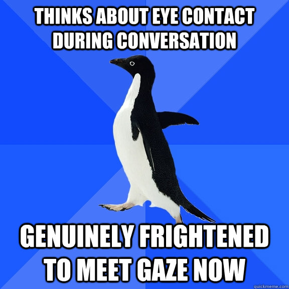Thinks about eye contact during conversation genuinely frightened to meet gaze now  Socially Awkward Penguin