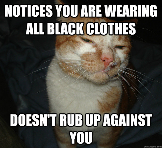 notices you are wearing all black clothes doesn't rub up against you  Cool Cat Craig