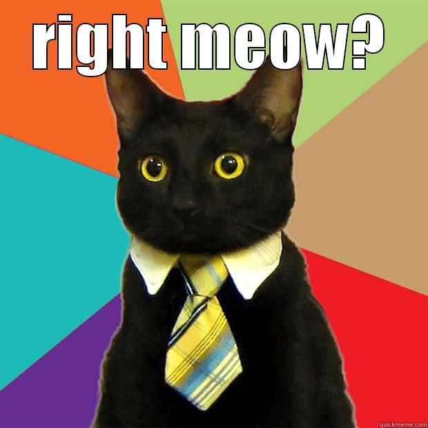RIGHT MEOW?  Business Cat