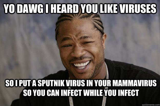 Yo dawg I heard you like viruses So I put a sputnik virus in your mammavirus so you can infect while you infect  