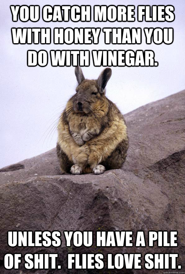 You catch more flies with honey than you do with vinegar. Unless you have a pile of shit.  Flies love shit. - You catch more flies with honey than you do with vinegar. Unless you have a pile of shit.  Flies love shit.  Wise Wondering Viscacha