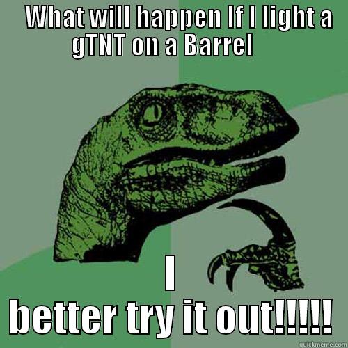    WHAT WILL HAPPEN IF I LIGHT A GTNT ON A BARREL     I BETTER TRY IT OUT!!!!! Philosoraptor