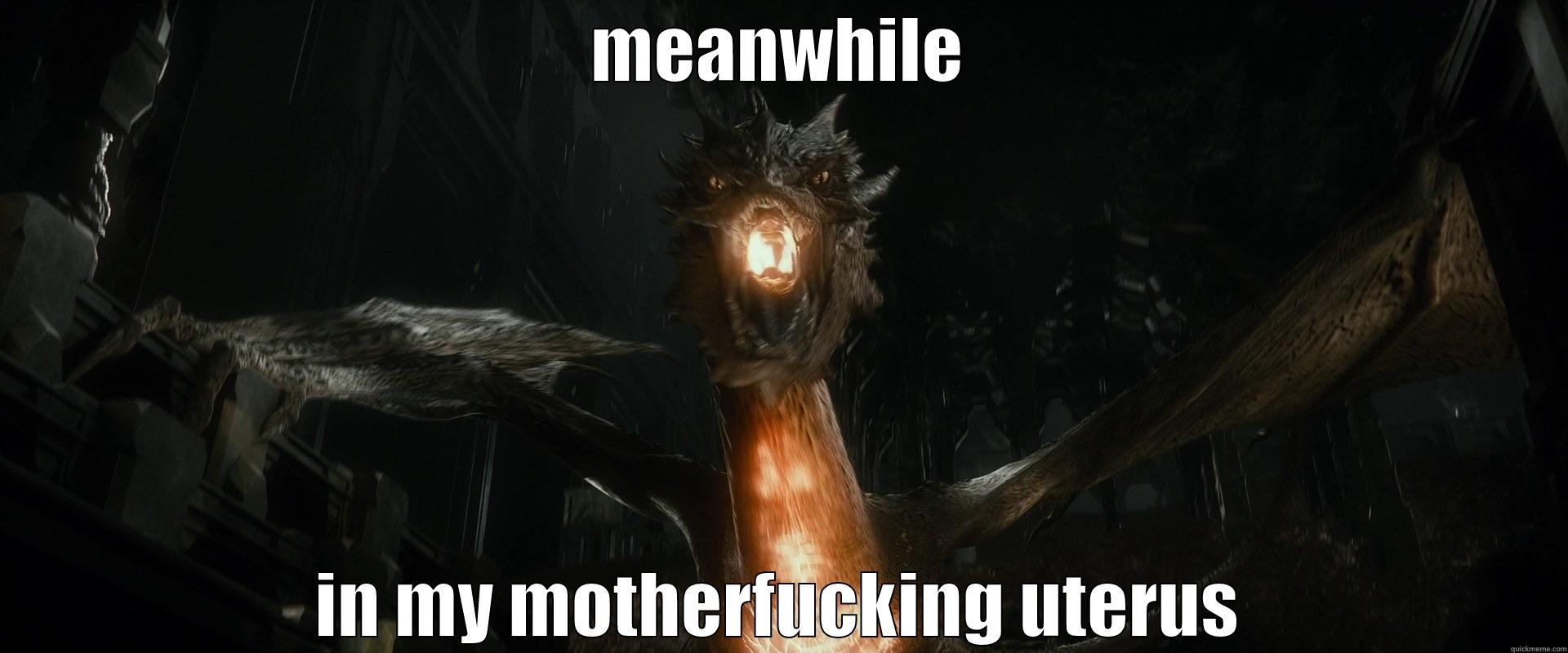 MEANWHILE IN MY MOTHERFUCKING UTERUS Misc