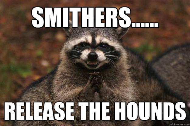 Smithers...... RELease the hounds  - Smithers...... RELease the hounds   Evil Plotting Raccoon