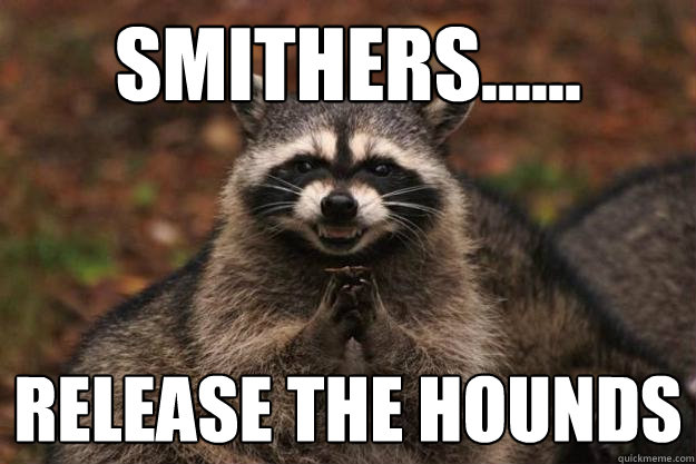 Smithers...... RELease the hounds   Evil Plotting Raccoon