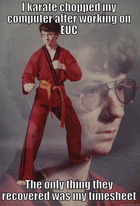 I KARATE CHOPPED MY COMPUTER AFTER WORKING ON EUC THE ONLY THING THEY RECOVERED WAS MY TIMESHEET Karate Kyle