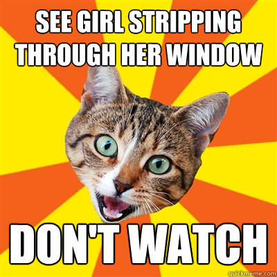 see girl stripping through her window don't watch  Bad Advice Cat
