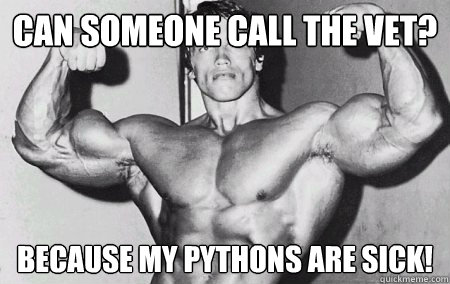 Can someone call the vet? Because my pythons are sick! - Can someone call the vet? Because my pythons are sick!  bodybuilding meme