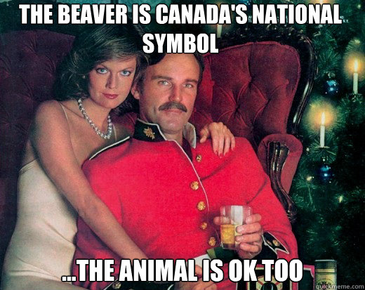 the beaver is Canada's national symbol ...the animal is ok too - the beaver is Canada's national symbol ...the animal is ok too  The Smooth Canadian