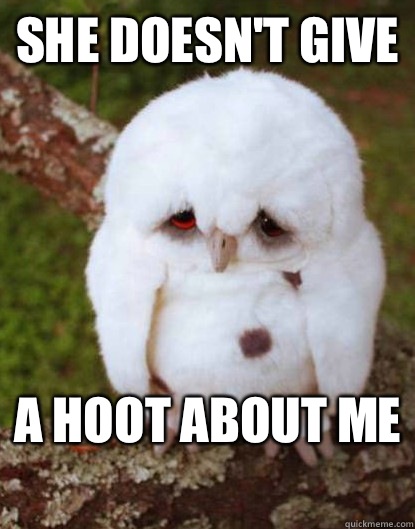 She doesn't give  A hoot about me  - She doesn't give  A hoot about me   Depressed Owl