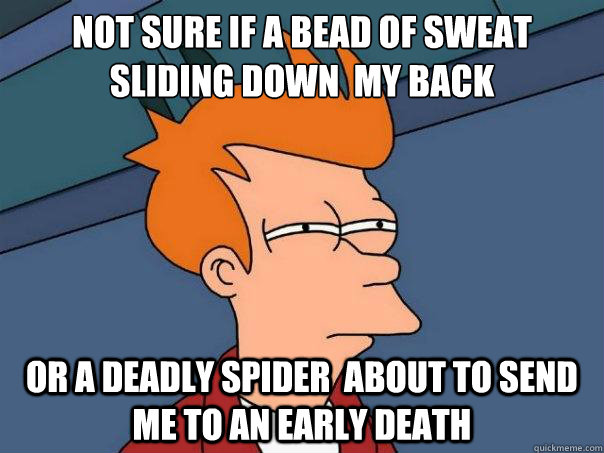 not sure if a bead of sweat sliding down  my back or a deadly spider  about to send me to an early death - not sure if a bead of sweat sliding down  my back or a deadly spider  about to send me to an early death  Futurama Fry