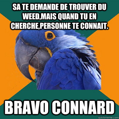Sa te demande de trouver du weed,mais quand tu en cherche,personne te connait. Bravo connard   Paranoid Parrot