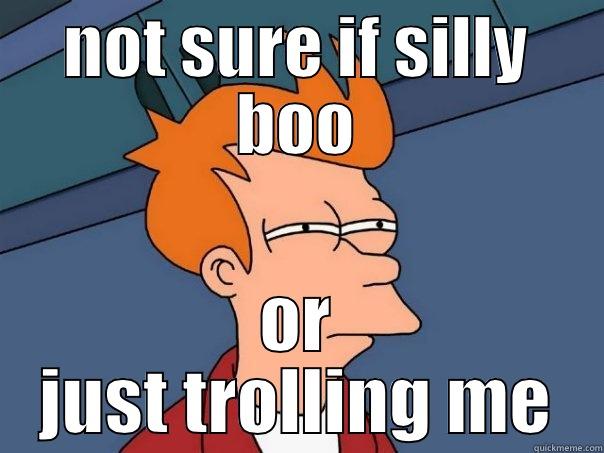 NOT SURE IF SILLY BOO OR JUST TROLLING ME Futurama Fry