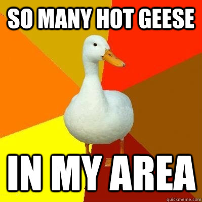 So Many hot geese in my area - So Many hot geese in my area  Tech Impaired Duck