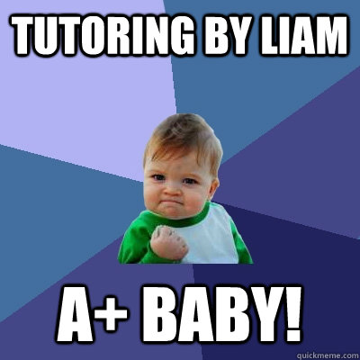TUTORING BY LIAM A+ BABY!  Success Kid