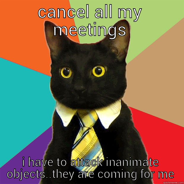 CANCEL ALL MY MEETINGS I HAVE TO ATTACK INANIMATE OBJECTS..THEY ARE COMING FOR ME Business Cat