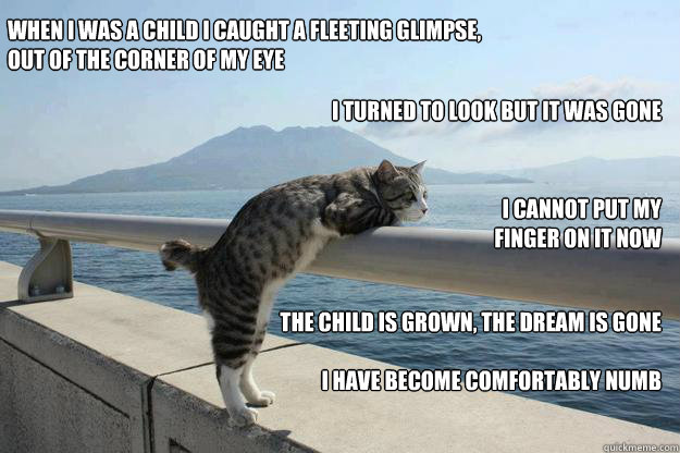 When I was a child I caught a fleeting glimpse,
Out of the corner of my eye I turned to look but it was gone I cannot put my finger on it now The child is grown, the dream is gone

I have become comfortably numb  