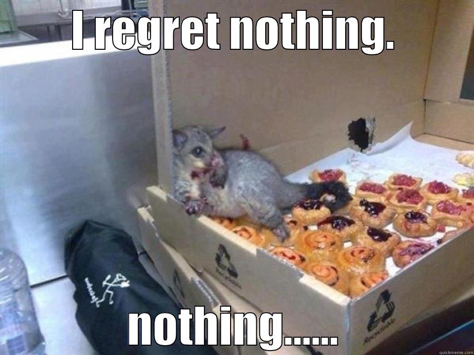 Pastry Possum - I REGRET NOTHING. NOTHING...... Misc
