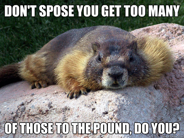 don't spose you get too many of those to the pound, do you? - don't spose you get too many of those to the pound, do you?  Smarmy Marmot
