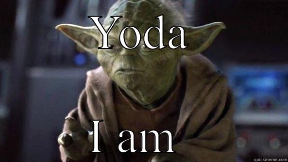 YODA I AM  True dat, Yoda.