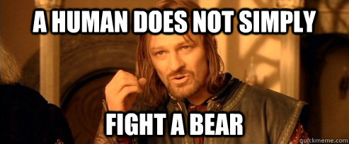 a human does not simply fight a bear  One Does Not Simply