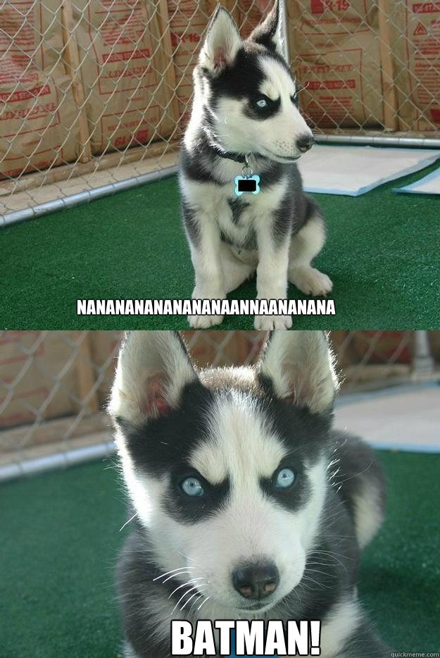 nanananananananaannaananana BATMAN!  Insanity puppy
